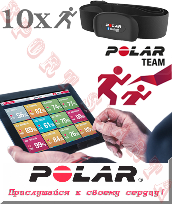 POLAR TEAM PRO sportsparta